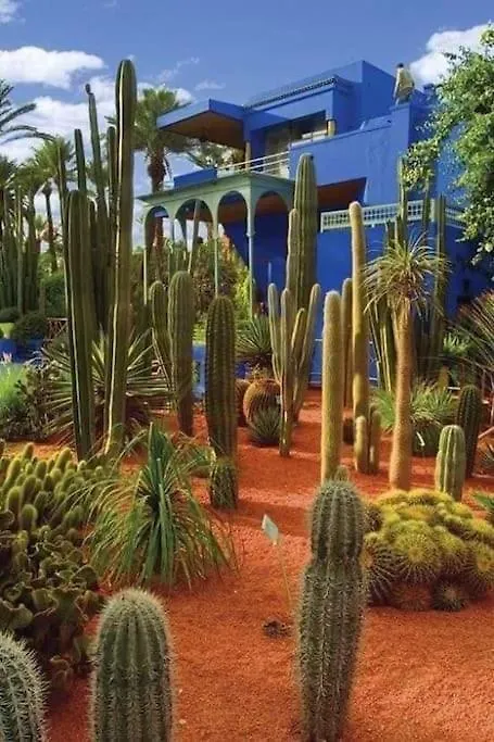 Jardin Majorelle Appartement Марракеш Марокко